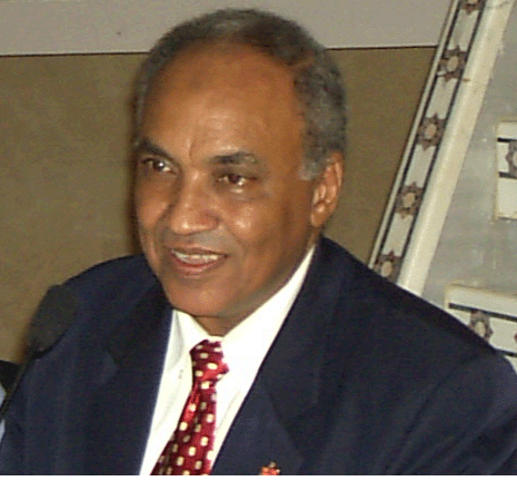 Prof. Mohamed Nageeb Rashed
